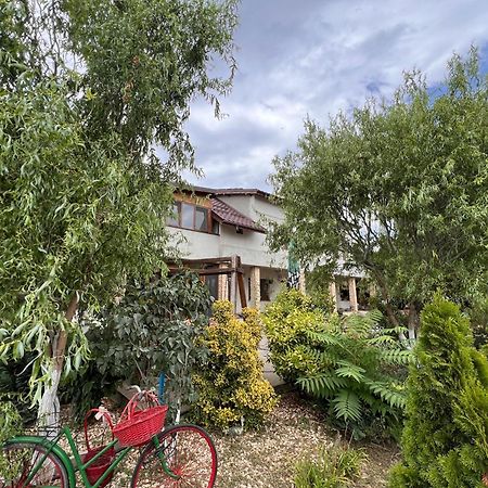 Casa Vera, Tudor Vladimirescu تولتشيا المظهر الخارجي الصورة